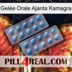 Gelée Orale Ajanta Kamagra viagra4
